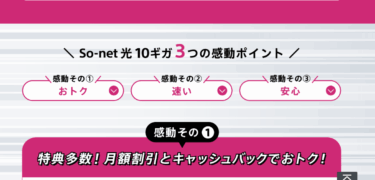 So-net 光 10ギガの口コミから評判を徹底調査!利用料金や対応エリアは？